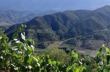 Berat 4x4 Off-Road and Vineyard Wine Tasting