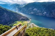 Private guided tour - Premium Nærøyfjord Cruise and Flåm Railway
