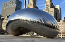 Chicago Highlights Private Walking Tour with a Guide