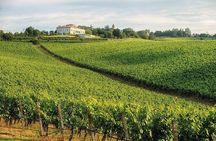 Experience Emilian Wines at Bologna Vineyard Vista