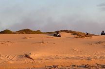 1 Hour Quad Bike Excursion in Morocco