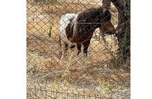 Heraklion:Olive & Dragon Fruit Farm Tour & Cretan Farmers Brunch