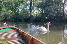 Oxford : Punting - Oxbridge Tours