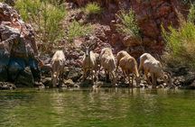 Half Day Emerald and Echo Cave Kayak Adventure