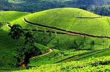 Serene Munnar Retreat: Private Tour from Kochi to the Munnar Hill
