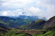 Serene Munnar Retreat: Private Tour from Kochi to the Munnar Hill