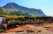 Serene Munnar Retreat: Private Tour from Kochi to the Munnar Hill