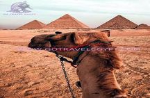 7 Days Cairo And Nile Cruise from Aswan by flight private package