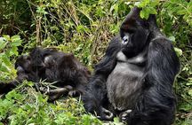 Five Day Highlights of Rwanda Tour