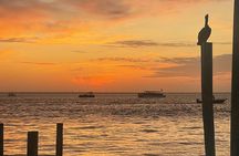 Sunset Dolphin Cruise 