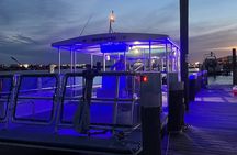 Sunset Dolphin Cruise 