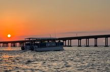 Sunset Dolphin Cruise 
