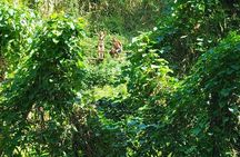 Private Bucket List Adventure Day- Hikes, Beaches, Waterfalls
