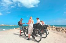 Alicante E-Bike Coast Tour with Román Fishpond and Snorkeling