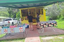 Exquisite Taxi and Tours Antigua 