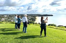 Auckland City Top Spots Half Day Tour(Small Group Tour)
