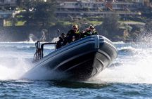 Sydney Whale Watching on Small RIB