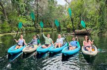 Silver Springs Wildlife Tour - Glass Bottom Kayaks