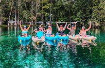 Silver Springs Wildlife Tour - Glass Bottom Kayaks