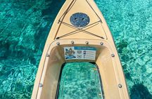 Silver Springs Wildlife Tour - Glass Bottom Kayaks