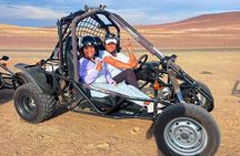 Ballestas Islands and Mini Buggy Adventure from Ica
