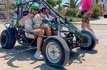 Ballestas Islands and Mini Buggy Adventure from Ica