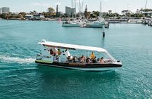 Mooloolaba Whale Watching Tour