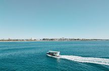 Mooloolaba Whale Watching – Small Group Tour