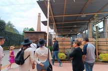 Guadalajara Tequila Tastings Tour