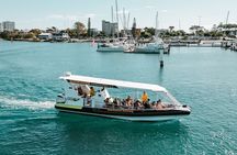 Adventure Whale Watching Tour Mooloolaba