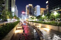 Walking Tour of Dongdaemun DDP, Cheonggyecheon, Gwangjang Market