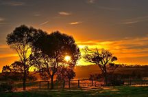 Nocturnal Tour of Kangaroo Island