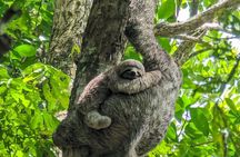 Private Trip to Waterfalls and Beaches in Costa Rica