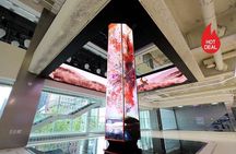 Seoul Nightlife Tours : K-Drama, K-Pop, Gwangjang Market