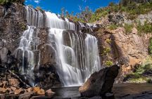 Private Day Trip to Nature's Wonderland Grampians Grandeur