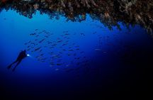 Night Dive