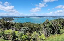 Bay of Islands Scenic Tour 