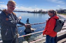 Copenhagen Private Walking Tour