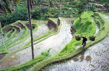 Private Ubud Sightseeing Tour