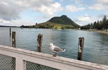Guided Māori History and Culture Tour to Rotorua and Tauranga