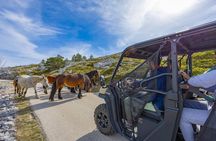 Skywalk Biokovo Tour in Buggy's
