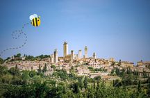 Florence: San Gimignano & Siena Tasting Experience