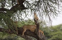 2-Day Mid-Range Safari to Tarangire & Ngorongoro Crater