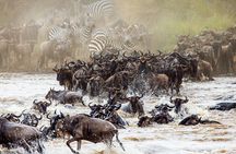 From Plains to Crater: 3-Day Midrange Safari in Northern Tanzania