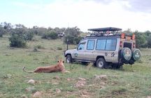 Nairobi National Park Half Day Tour