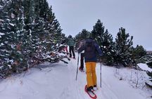 Akureyri Snowshoeing with The Traveling Viking