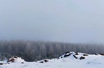 Akureyri Snowshoeing with The Traveling Viking