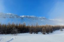Akureyri Snowshoeing with The Traveling Viking