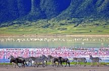 From Plains to Crater: 3-Day Midrange Safari in Northern Tanzania