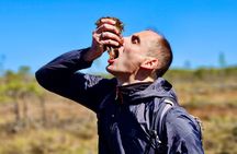Ķemeri Bogs Adventure: Explore Wetlands In Bog Shoes